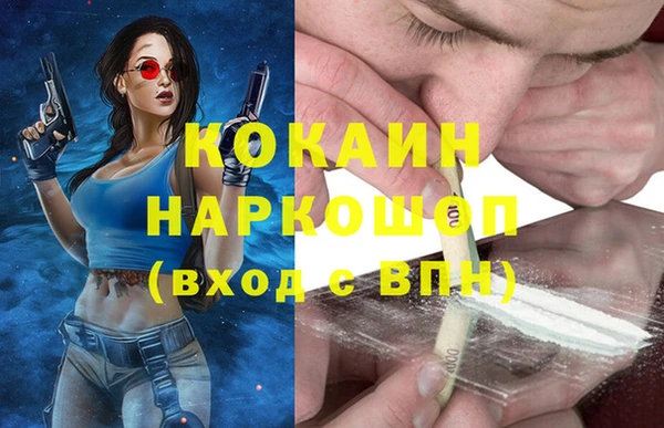 гашик Алексеевка