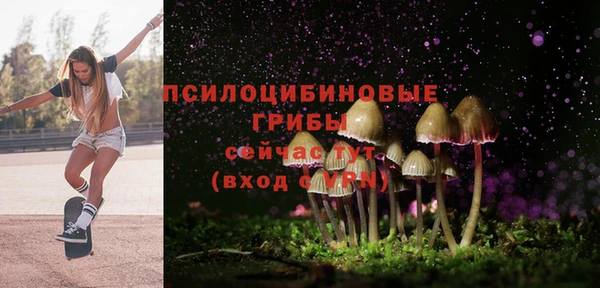 гашик Алексеевка